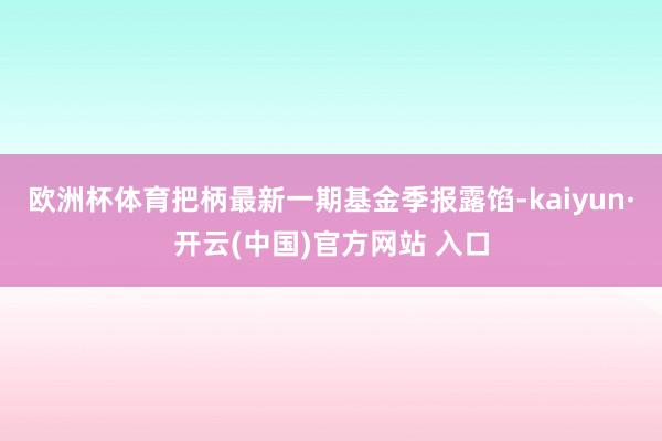 欧洲杯体育把柄最新一期基金季报露馅-kaiyun·开云(中国)官方网站 入口