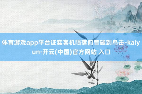 体育游戏app平台证实客机陨落前曾碰到鸟击-kaiyun·开云(中国)官方网站 入口